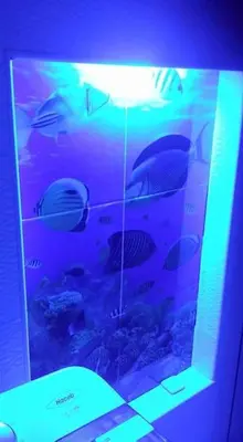 a aquarium filled with lots of fish in a blue light at Fantástica cartagena accesible para todos in Cartagena de Indias