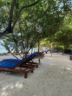 a row of picnic tables on a beach with trees at Múcura Club Hotel in Isla Mucura