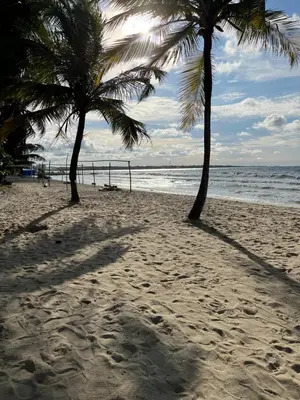 two palm trees on a sandy beach near the ocean at Cabaña en coveñas in Coveñas