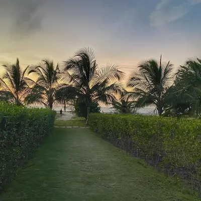 a dirt path with palm trees on the beach at ✰ Beach Loft ✰ Condominio de lujo ✰ in Cartagena de Indias