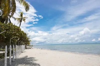 a beach with a fence and palm trees and the ocean at Casa Antigua in San Silvestre