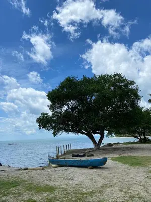 a blue boat on the beach next to a tree at CABAÑA ACUARIO in El Porvenir