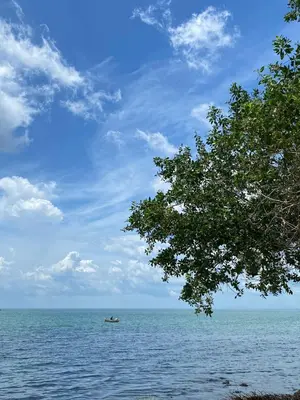 a boat in the middle of the ocean with a tree at CABAÑA ACUARIO in El Porvenir
