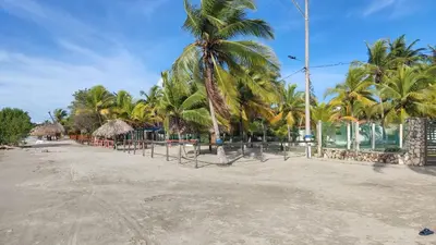 a sandy beach with palm trees at Cabaña 8 Arrecifes in Coveñas