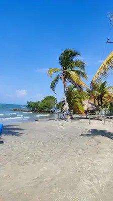 a beach with two palm trees and the ocean at Cabaña 8 Arrecifes in Coveñas
