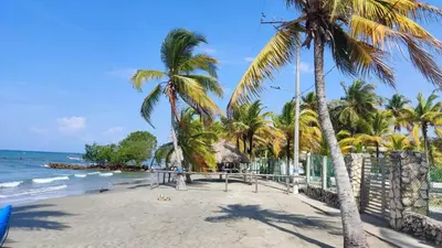 a beach with palm trees and the ocean at Cabaña 8 Arrecifes in Coveñas