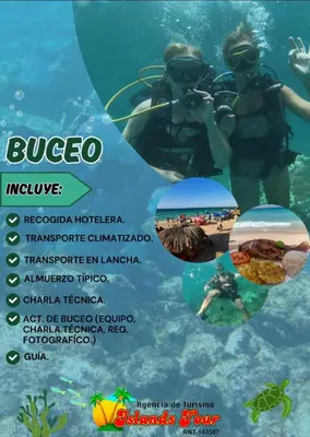 a flyer for a dive resort in the ocean at Casa Pupo Hostal in Cartagena de Indias