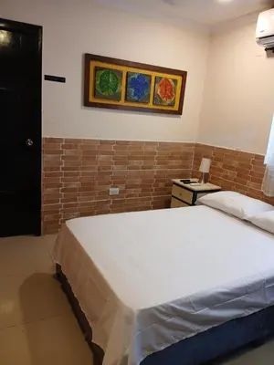 a bedroom with a large bed in a room at Apto amoblado barrio Los Alpes Cartagena in Cartagena de Indias