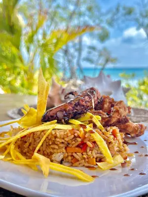 a plate of food with rice and meat on it at Medusa Hostel Isla Tintipan in Tintipan Island