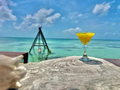 a glass of orange juice sitting on a table near the ocean at Medusa Hostel Isla Tintipan in Tintipan Island