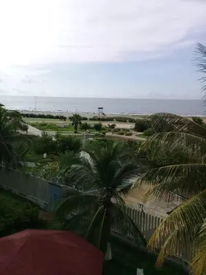 a view of a beach with palm trees and the ocean at Condominio en la Playa de Crespo in Cartagena de Indias