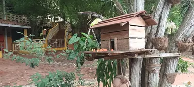 a bird house attached to a tree at Villa Margarita in Puerto Colombia