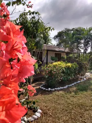 Gallery image of Cabaa De Descanso, Isla De Bar - Cartagena - Rest Cabin, Baru Island -Bolivar in Playa Blanca