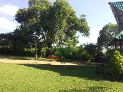 Gallery image of Cabaa De Descanso, Isla De Bar - Cartagena - Rest Cabin, Baru Island -Bolivar in Playa Blanca