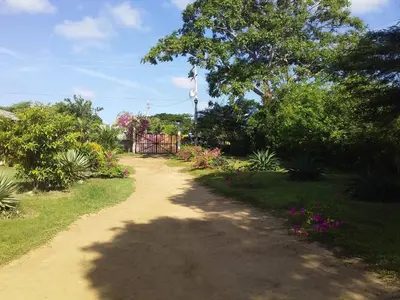 Gallery image of Cabaa De Descanso, Isla De Bar - Cartagena - Rest Cabin, Baru Island -Bolivar in Playa Blanca