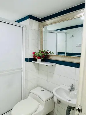a bathroom with a toilet and a sink and a mirror at Apartaestudio in Cartagena de Indias