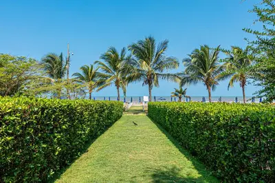 a hedge in front of a beach with palm trees at Lujoso Apto Cartagena - Acceso Directo a la Playa in Cartagena de Indias