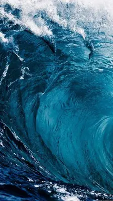 a wave in the ocean with a surfer riding it at CasaCoral Hotel in Isla Fuerte