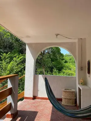 a hammock in a room with a view of trees at Hotel Villa Mary apartaestudios playa in Maizal