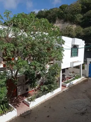 a white building with a tree in front of it at Hotel Villa Mary apartaestudios playa in Maizal
