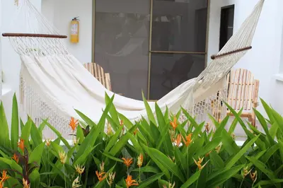 two chairs and a hammock on a porch at VAIA HOTELES in Coveñas