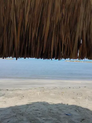 a thatched roof on a beach with the water at PLAYA MAG in Coveñas