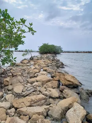 a group of rocks on the shore of a body of water at PLAYA MAG in Coveñas