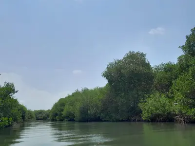 a river with trees on the side of it at PLAYA MAG in Coveñas