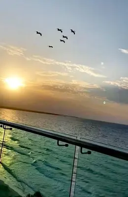 a group of birds flying in the sky over the ocean at Las 4 Estaciones Alojamientos de Ensueño Coveñas in Coveñitas