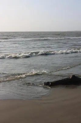 a log laying on the beach next to the ocean at Apartaestudio acceso al mar in Cartagena de Indias