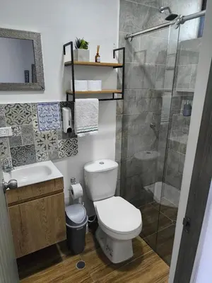 a bathroom with a toilet and a shower at Cabaña Milagro Bonito in Santa Marta
