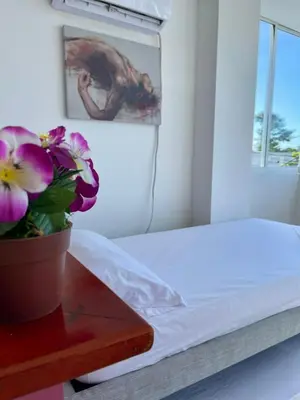 a bedroom with a table with a potted plant on it at Apartamento 201 in Cartagena de Indias