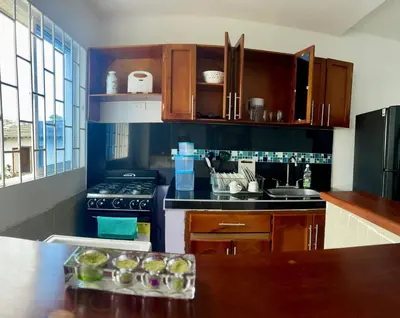a kitchen with wooden cabinets and a counter top at Apartamento 204 in Cartagena de Indias