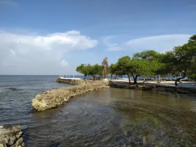a body of water with trees and a beach at Sol y Mar in Isla Fuerte