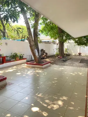 a patio with a tree and a white wall at Habitación cerca al aeropuerto 3 in Cartagena de Indias