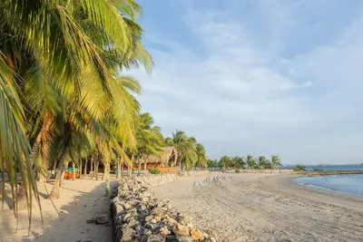 a sandy beach with palm trees and the ocean at Castillete Hotel & Beach Club in Tierra Bomba
