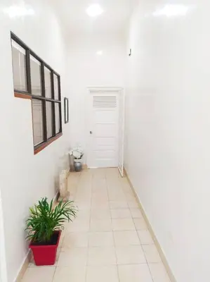 a white hallway with a door and a plant at Apartamento centro histórico 303-2 in Cartagena de Indias