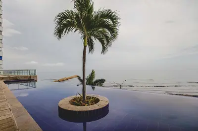 a palm tree sitting on the side of a pool at Frente al Mar home office 7B in Cartagena de Indias