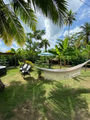 a hammock in a yard with a chair and palm trees at Cabañas roble verde in Rincón