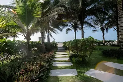 a pathway with palm trees and a beach at 2 Dormitorios Morros. Vista Mar y salida playa in Cartagena de Indias