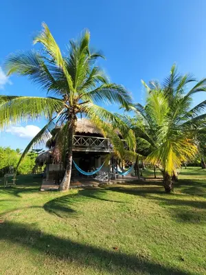 a building with two palm trees in a field at Cabana Ferrer in Notecebes