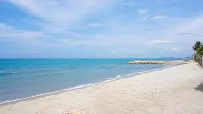 a beach with a palm tree and the ocean at Cabaña Aire Viento Sol in Puerto Viejo