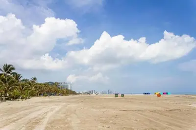 a sandy beach with palm trees and a city at Morros in Cartagena de Indias