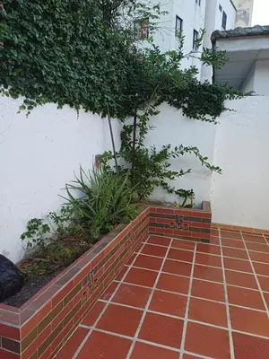 a brick planter with plants on a wall at Casa Bellavista Barranquilla in Barranquilla