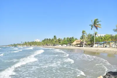 a beach with palm trees and the ocean at Cabaña la Arenosa in Coveñas
